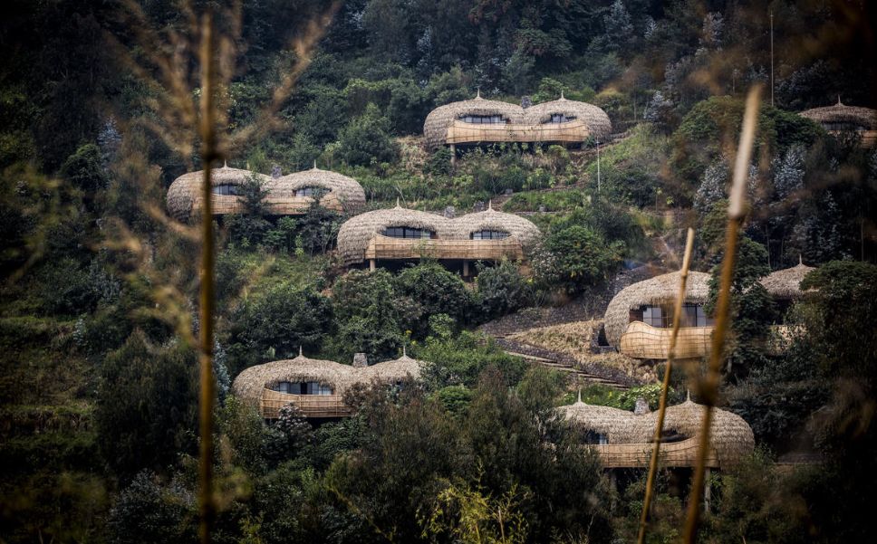 Like giant birds’ nests tucked into the trees, the six Forest Villas that make up Wilderness Bisate at Volcanoes National Park are simply breath-taking. And arguably the finest base in Africa from which to trek to see the famous mountain gorillas of the Virungas.