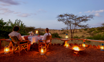 Young giraffe spotted while on a game drive in the Maasai Mara.
