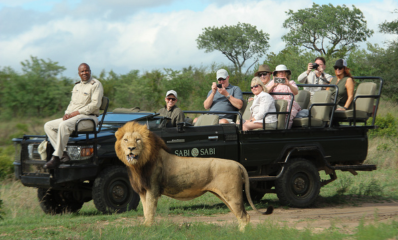 Game Drive Safari at Sabi Sabi spotting a male lion.