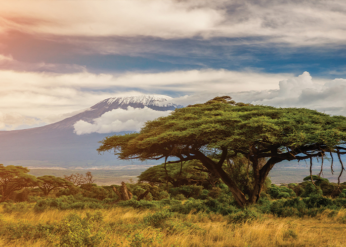 Kenya