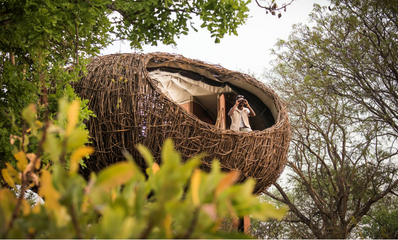 Cozy nest room at Chisa Busanga camp in Zambia's Kafue National Park