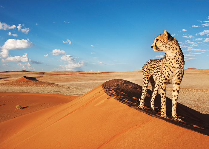 Namibia