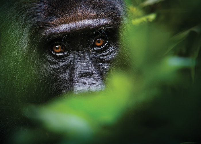 Rwanda