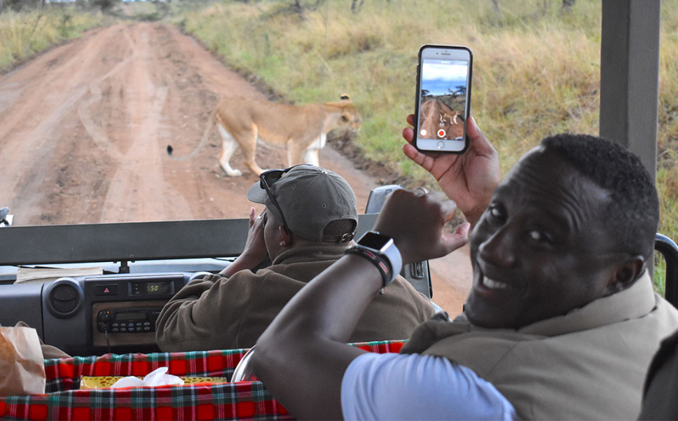 Sherwin shows off a photo of a lioness, that walks in front of the game vehicle.
