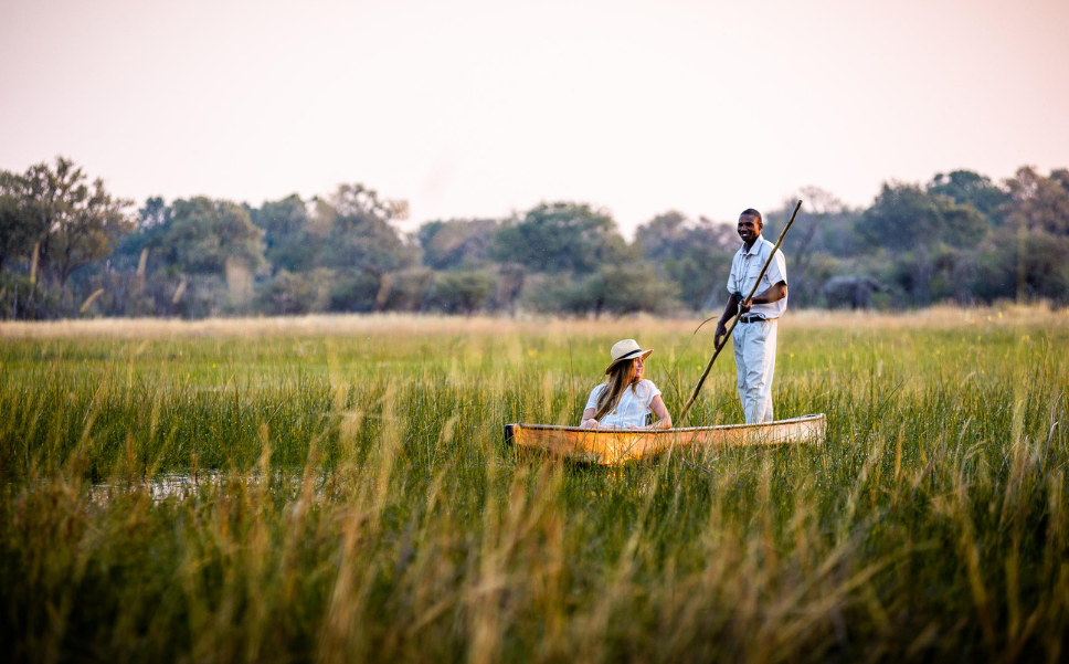 Glide through a maze of clear channels and opaque lagoons on traditionally made mokoro boats, once carved out of ancient Delta trees, but now made from environmentally friendly fibreglass. Discover the Delta, sitting mere centimetres above the water as you silently pass by unsuspecting wildlife.