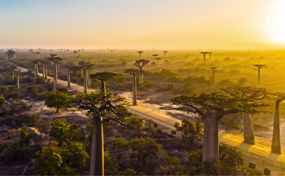 Tanzania