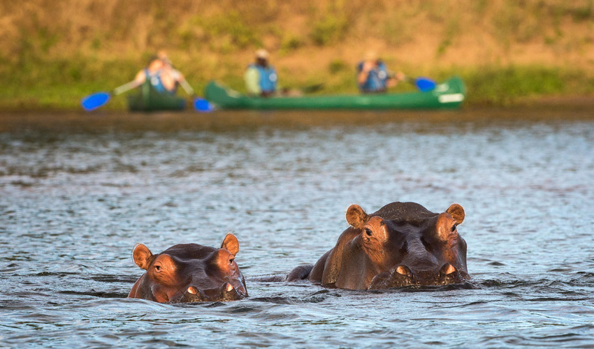 Victoria Falls River Lodge
