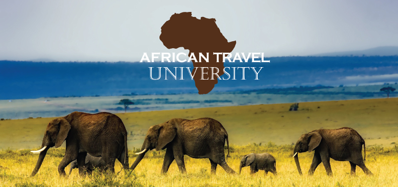 African Travel University